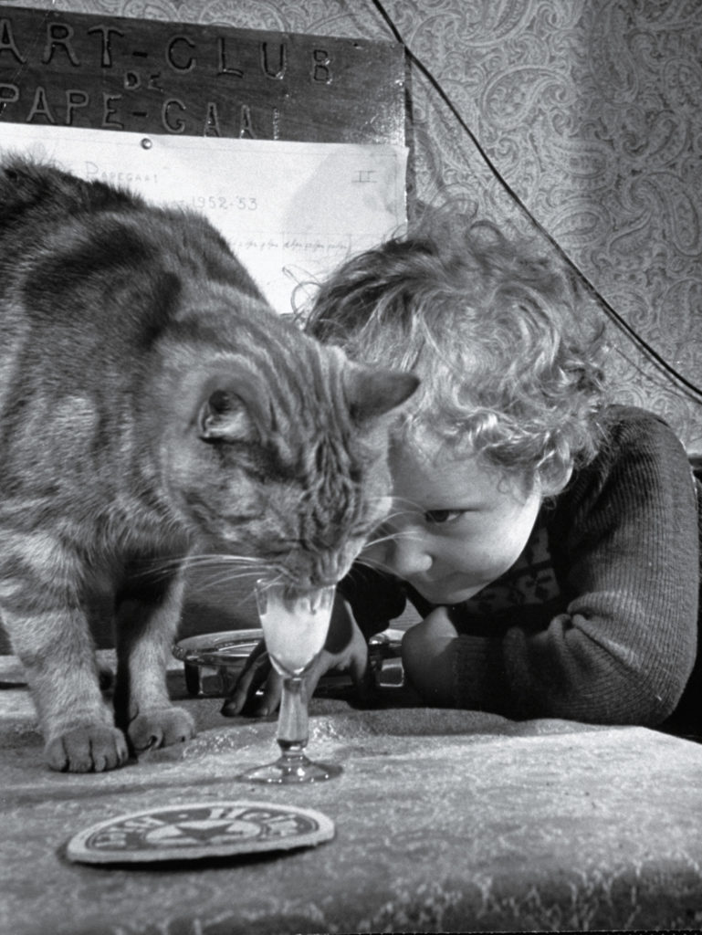 This boy, a Dutch billiards prodigy, fed cream to his cat in 1953.