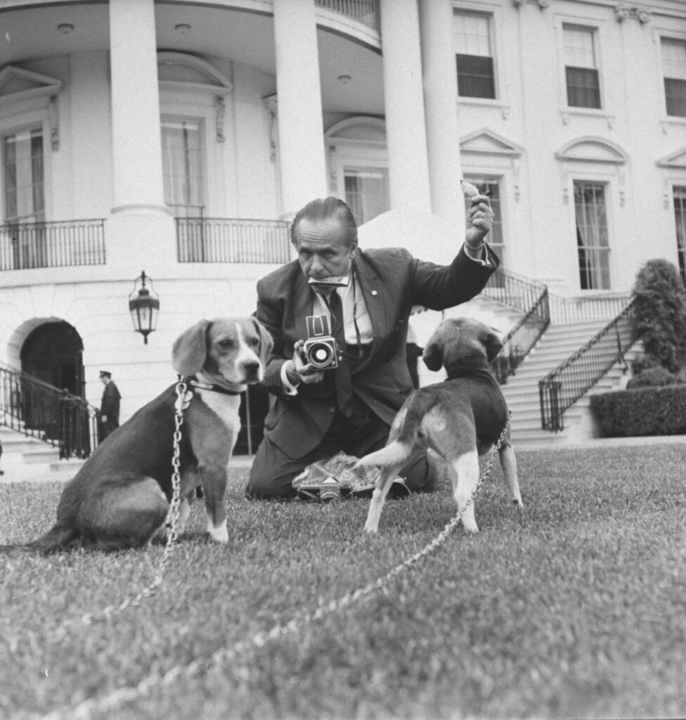 LIFE photographer Francis Miller took photos of President Lyndon B. Johnson's beagles, Him and Her, on the White House lawn, 1964.