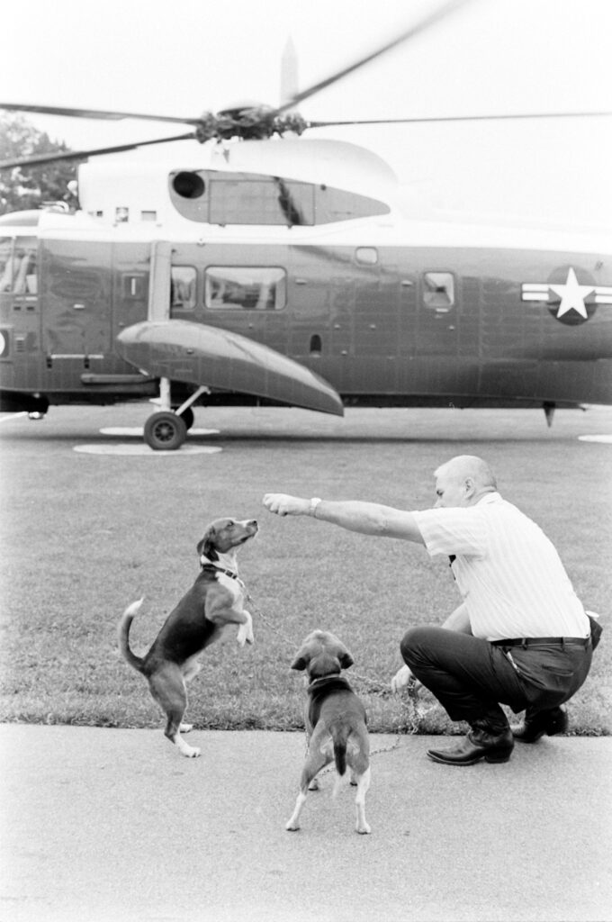 Thraphes Bryant, in addition to being White House electrician, helped care for the beagles of Lyndon B. Johnson, 1964.